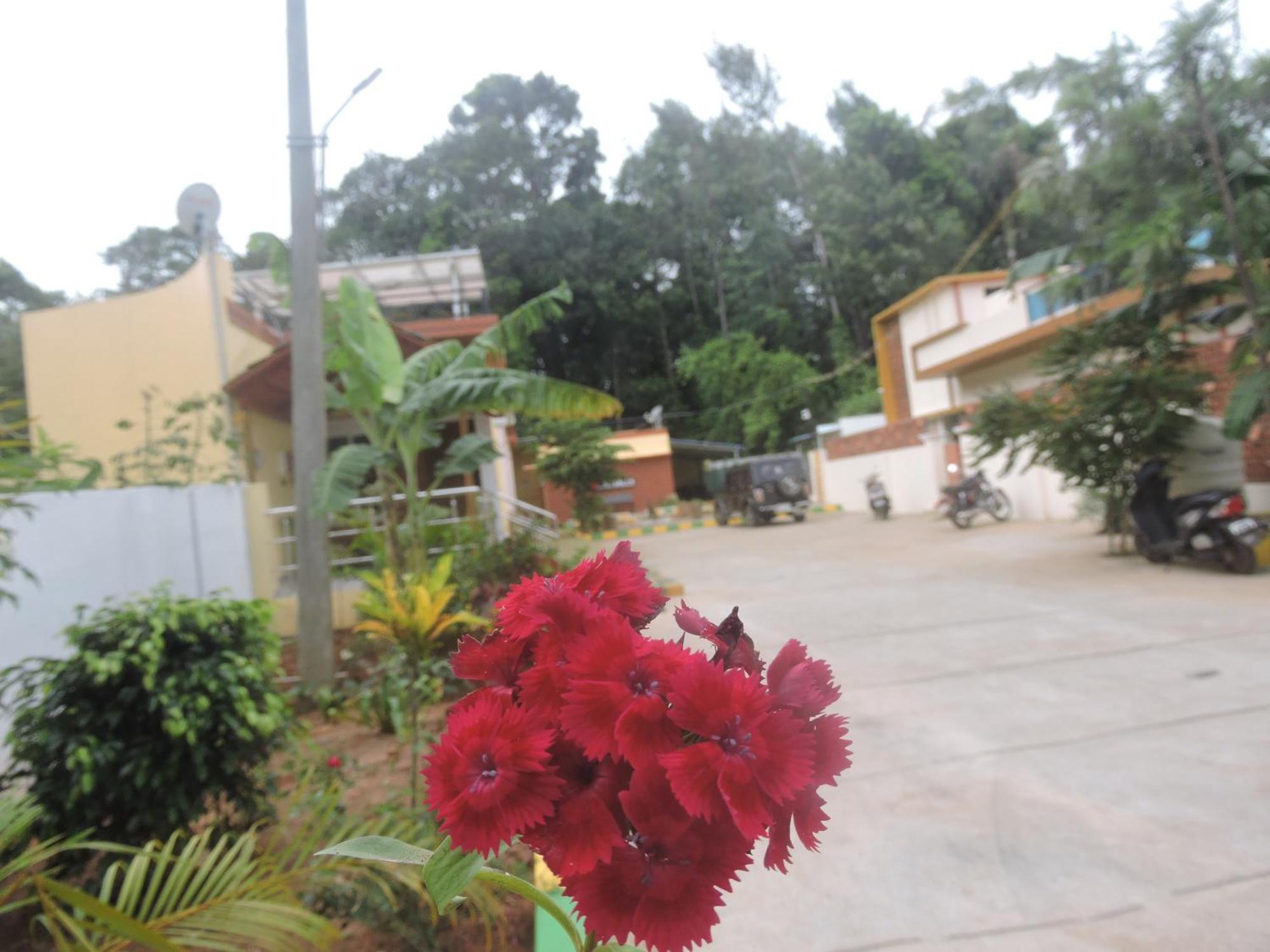 Kanna Garden By Bodhi Bungalows コリー・ヒルズ エクステリア 写真