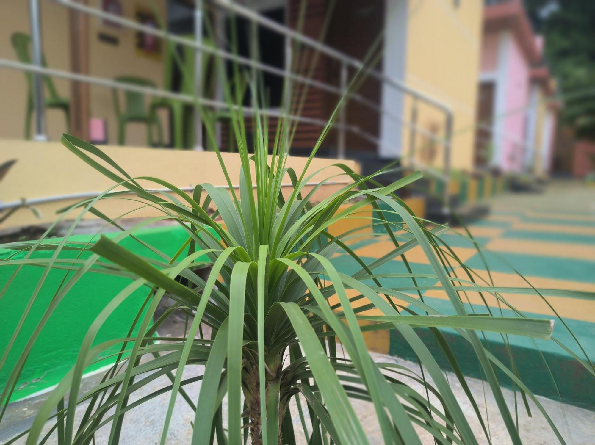 Kanna Garden By Bodhi Bungalows コリー・ヒルズ エクステリア 写真
